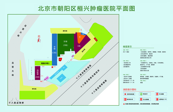 大鸡吧插粉嫩肥逼喷水视频北京市朝阳区桓兴肿瘤医院平面图